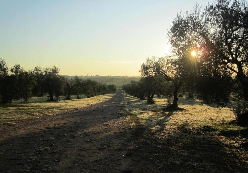 Hacienda Dos Olivos