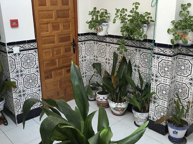 Pension Los Molinos