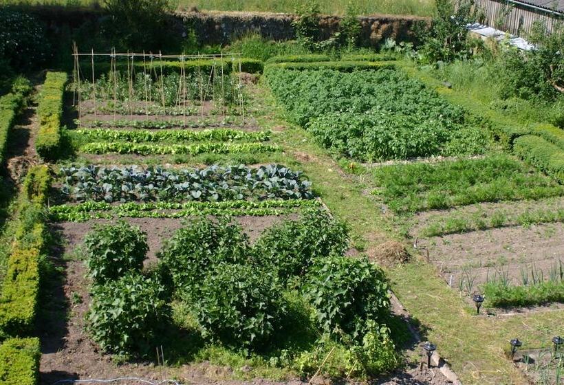 مبيت وإفطار Cormiston Farm