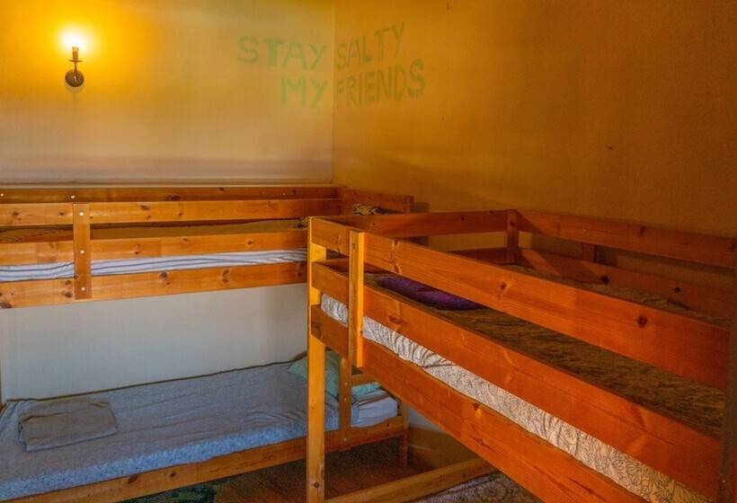 Twin Fin Surf Camp   Hostel