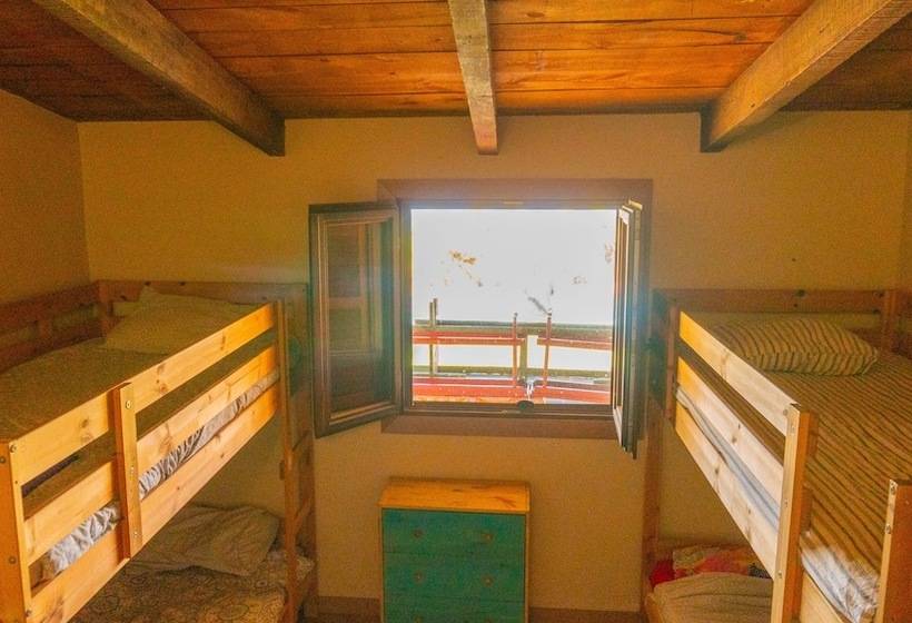 Twin Fin Surf Camp   Hostel
