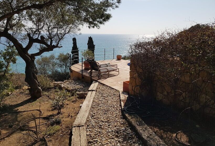تختخواب و صبحانه Villa Tamarit Guest House