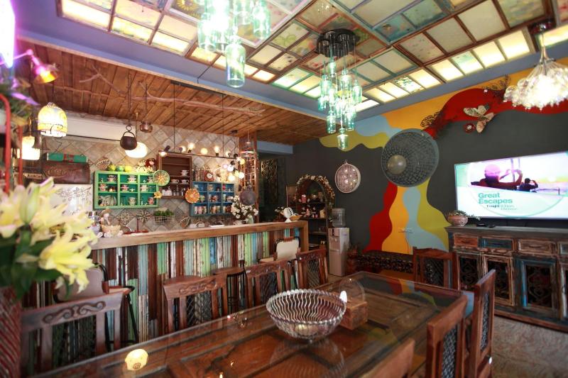 Bear Forest Retro B&b