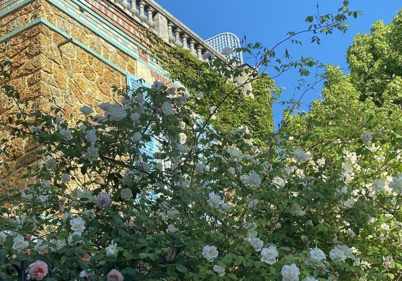 تختخواب و صبحانه Villa Talisman