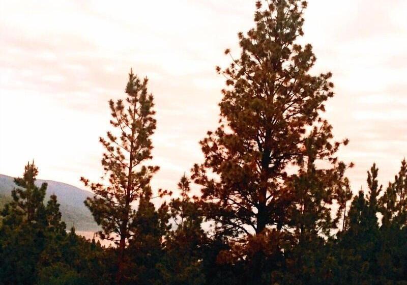 فندق Mountain Lake Lodge