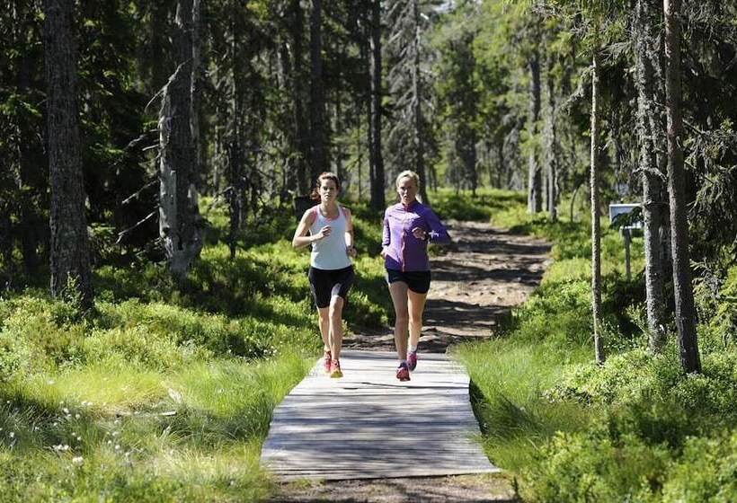 Orsa Grönklitt   Hostel