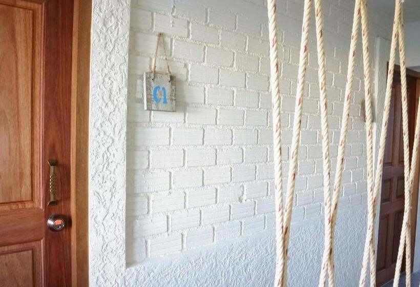 هاستل Silla House