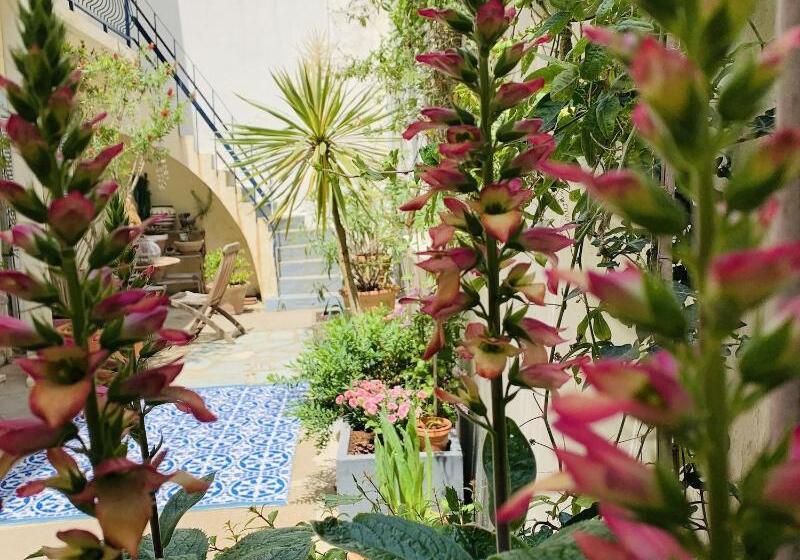 Bed and Breakfast Patio Del Mar