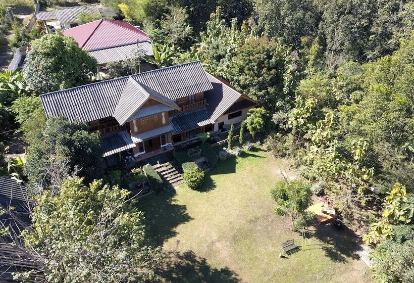 پانسیون The Local Story Home Stay 1