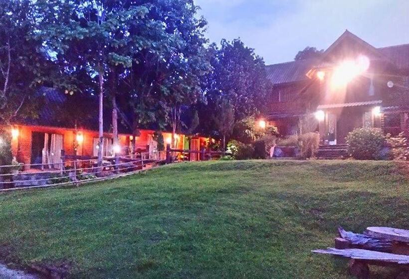 پانسیون The Local Story Home Stay 1