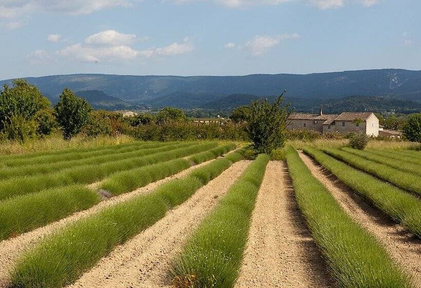 بنسيون La Bastide De Voulonne