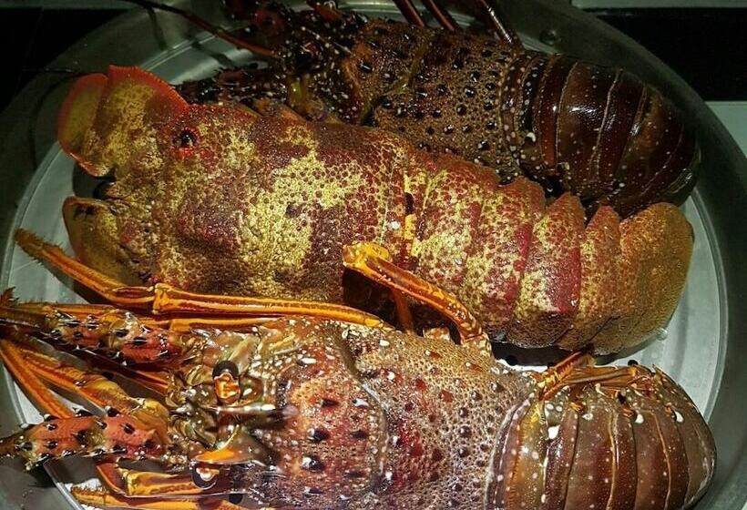 تختخواب و صبحانه Ou Hai You Travel