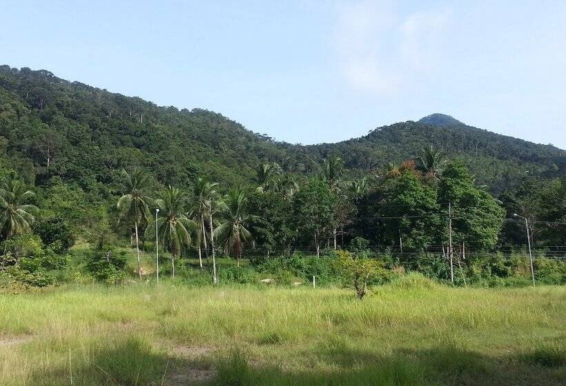 پانسیون The Tree Madauwan