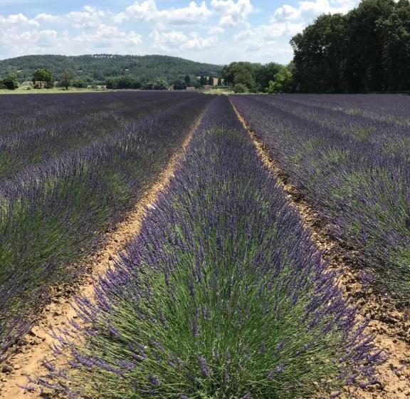 فندق Les Sables D Ocre & Spa