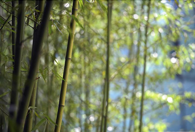 هتل Sun Moon Lake Teachers' Hostel