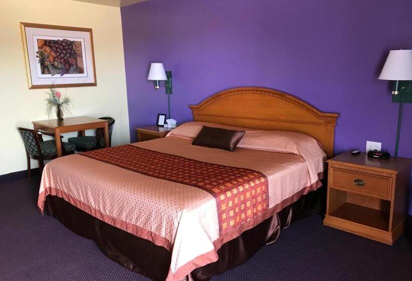 汽车旅馆  Shamrock Country Inn