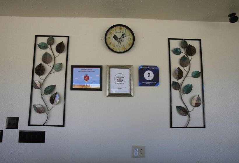 汽车旅馆  Shamrock Country Inn