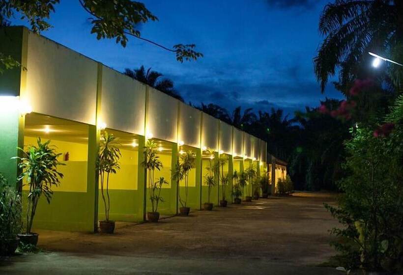 ペンション Palm Garden Resort