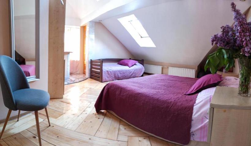 Schronisko вілла графа