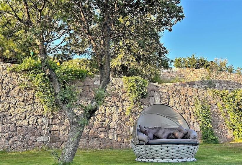 تختخواب و صبحانه Assos Longevity