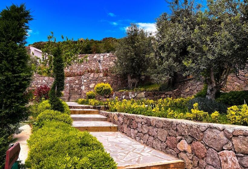 تختخواب و صبحانه Assos Longevity
