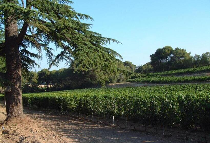 Château Saint Martin De Graves