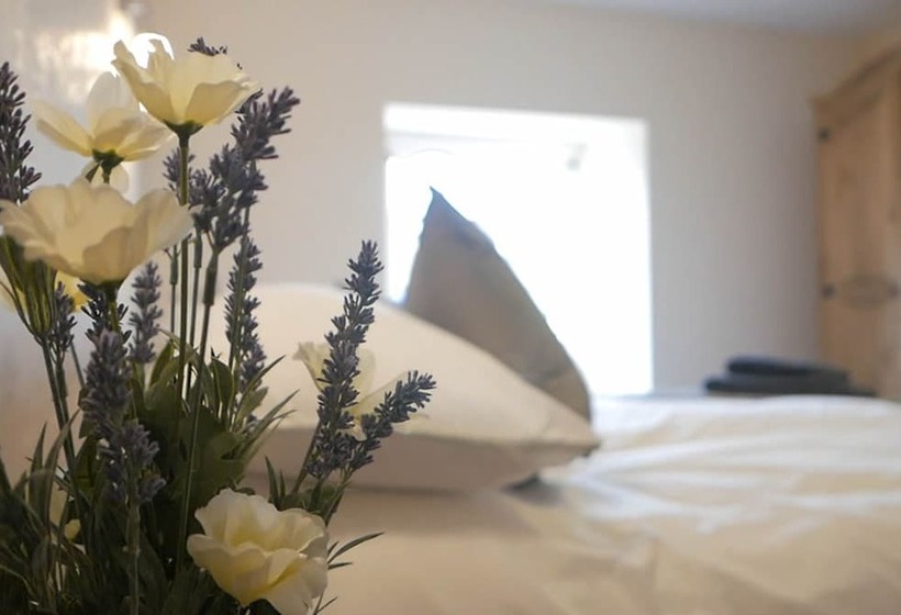 فندق فئة نجمة واحدة Manor House Hotel And Restaurant