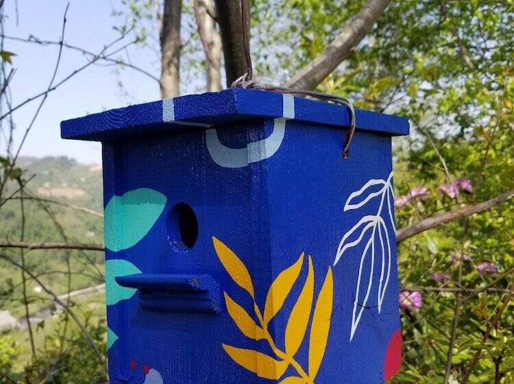 هتل Olimbera Köy Evi