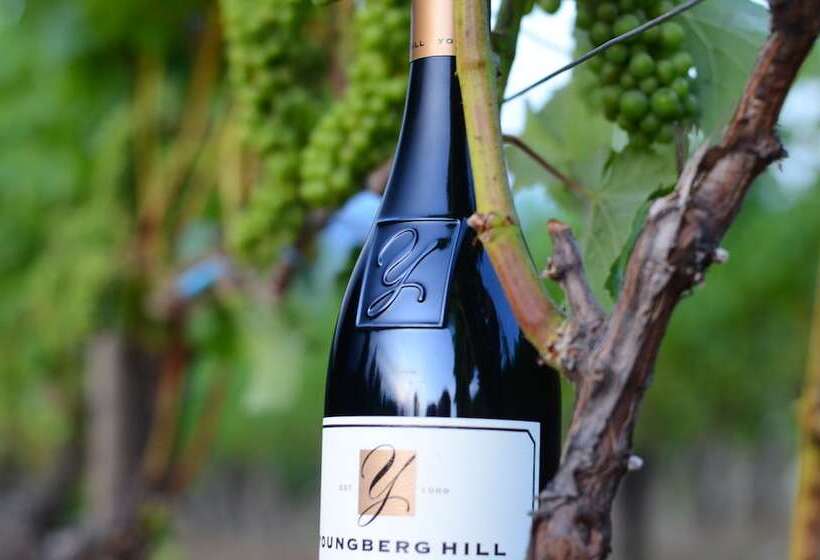 민박 Youngberg Hill