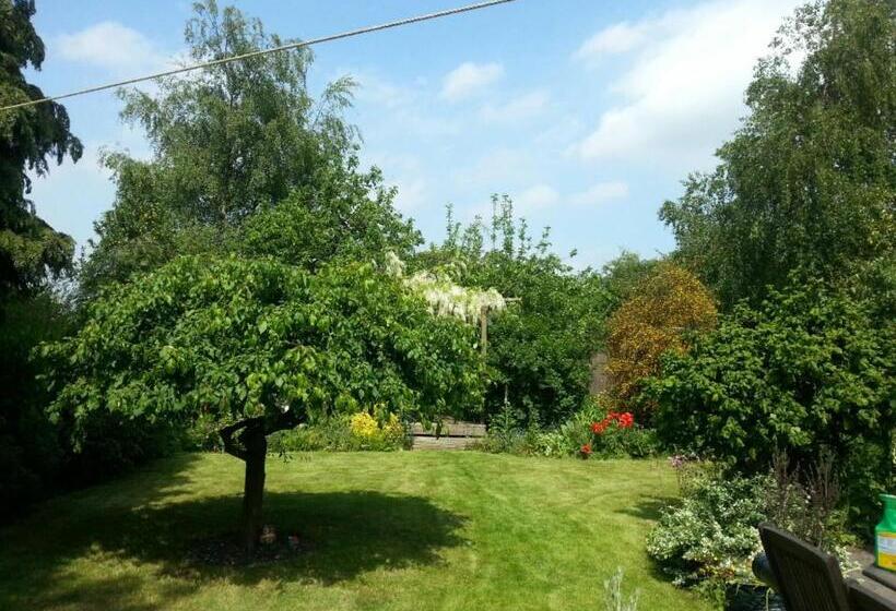 Field View B&b