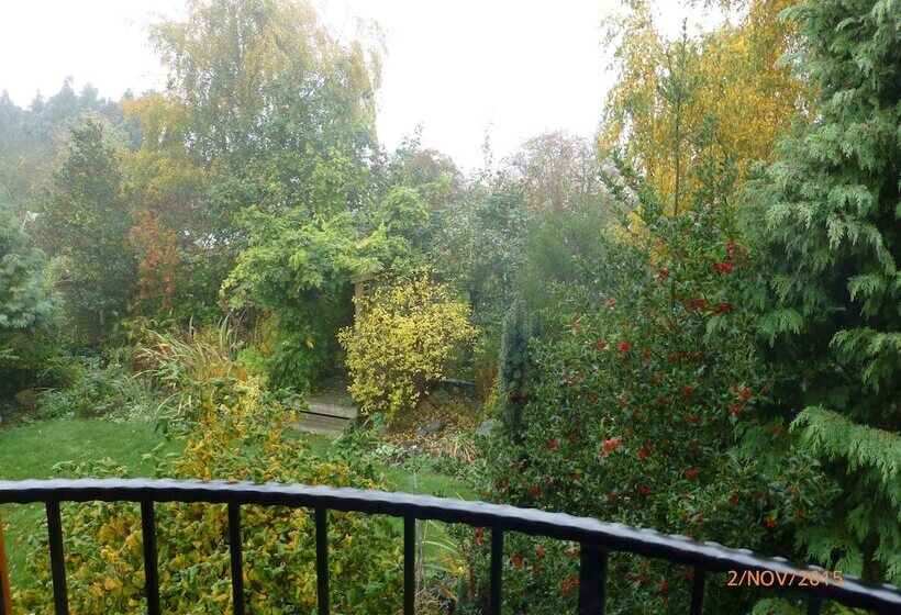 Field View B&b