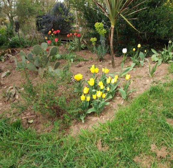 膳宿费 La Lande Du Cas