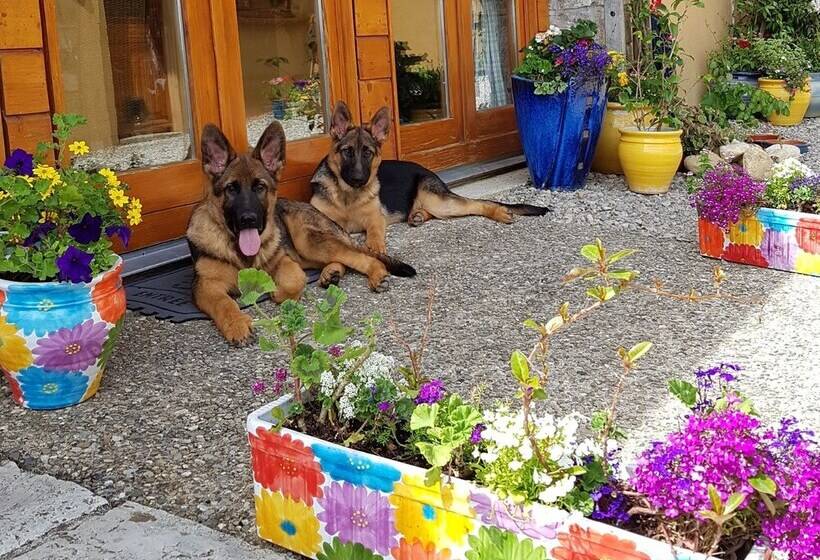 ベッドアンドブレックファースト La Cocagnière   In A Rural Location