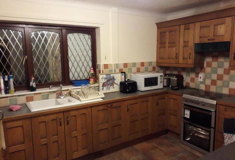 بنسيون Elm House