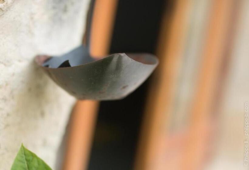 פנסיון Les Hauts De Chalonne