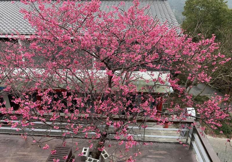 پانسیون Sanyi Wei Wei Feng