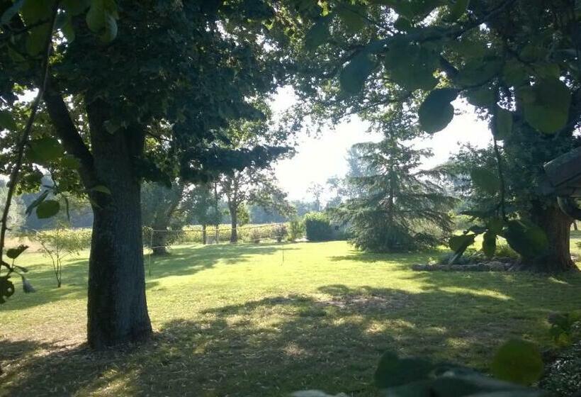 Bed and Breakfast Maison D Hôtes Saint Alary