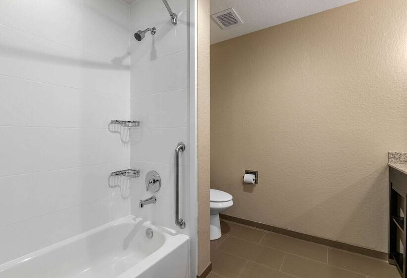 هتل Comfort Inn & Suites Cedar Rapids Cid Eastern Iowa Airport