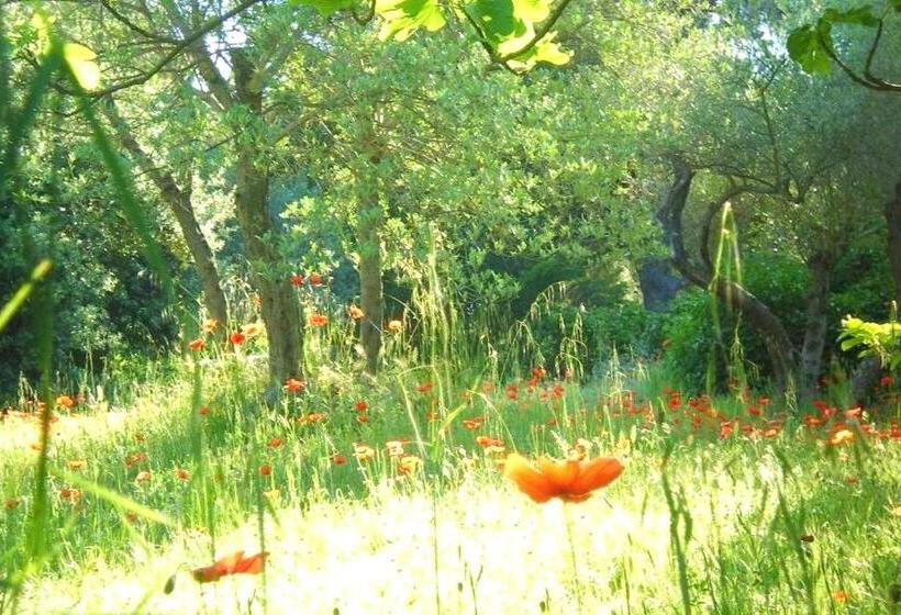 Rare   Escale Bicolore   Bas De Villa Privé Proche De Cassis   Piscine Chauffée Pendant L été