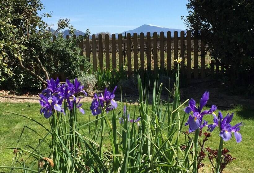 مبيت وإفطار Mas Du Clos De L Escarrat