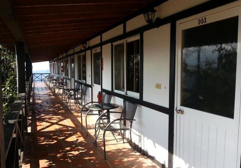 تختخواب و صبحانه Tzu Hsin Garden