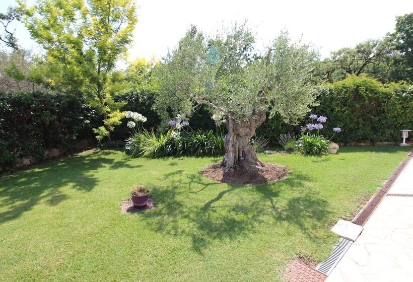 צימר La Villa Jalna Chambres Appartement