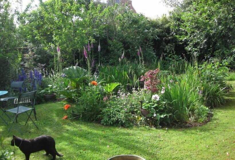 مبيت وإفطار Torridge House