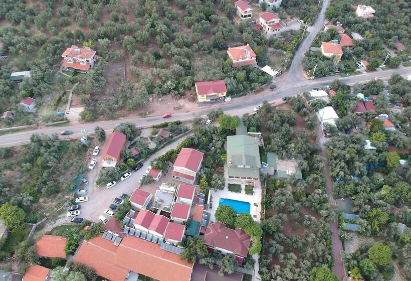 مسافرخانه Assos Livza Butik & Apart Otel