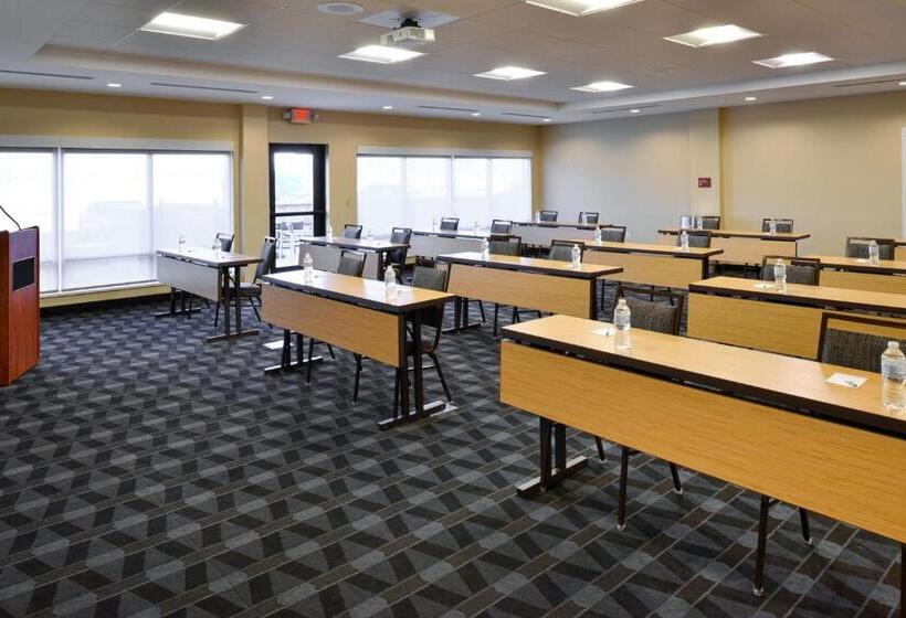 בית מלון כפרי Towneplace Suites By Marriott Detroit Belleville