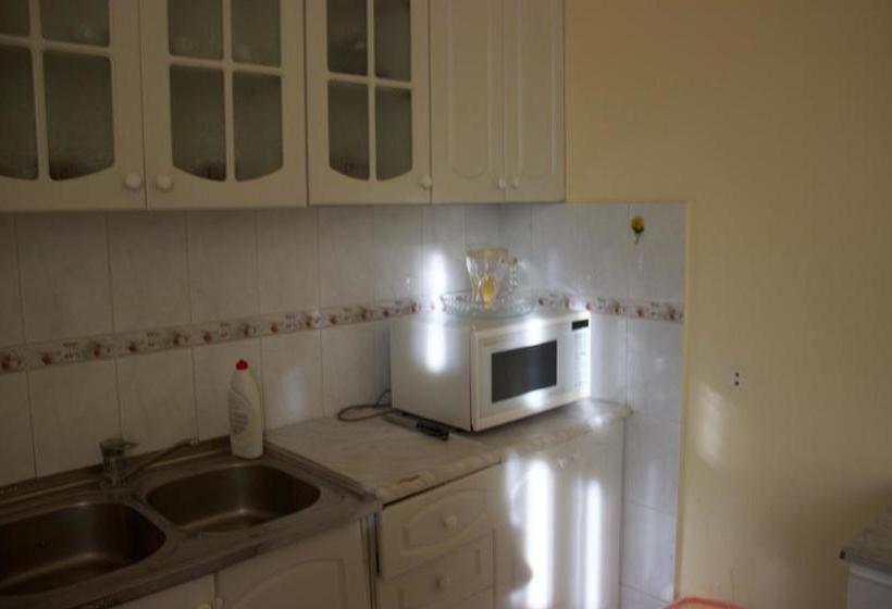 Platan Hostel