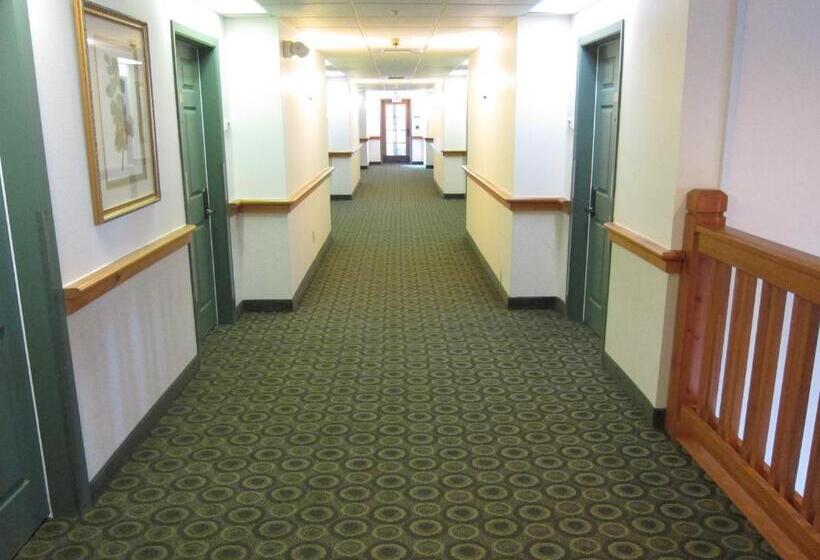 فندق Fidalgo Country Inn