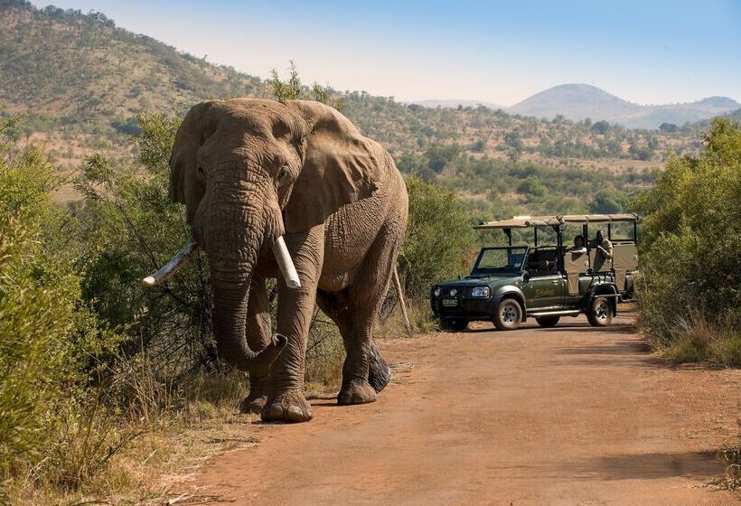 酒店 Bakubung Bush Lodge