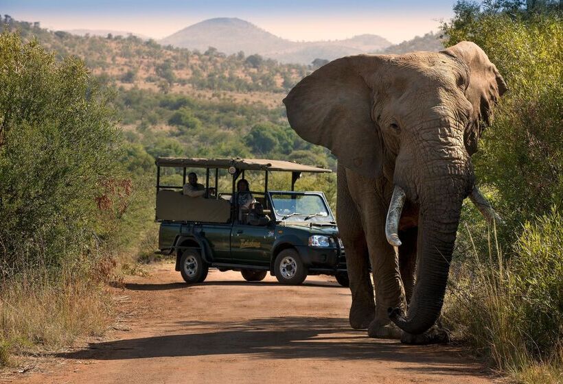 酒店 Bakubung Bush Lodge