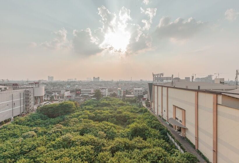 هاستل Flagship 750 Mont Blanc